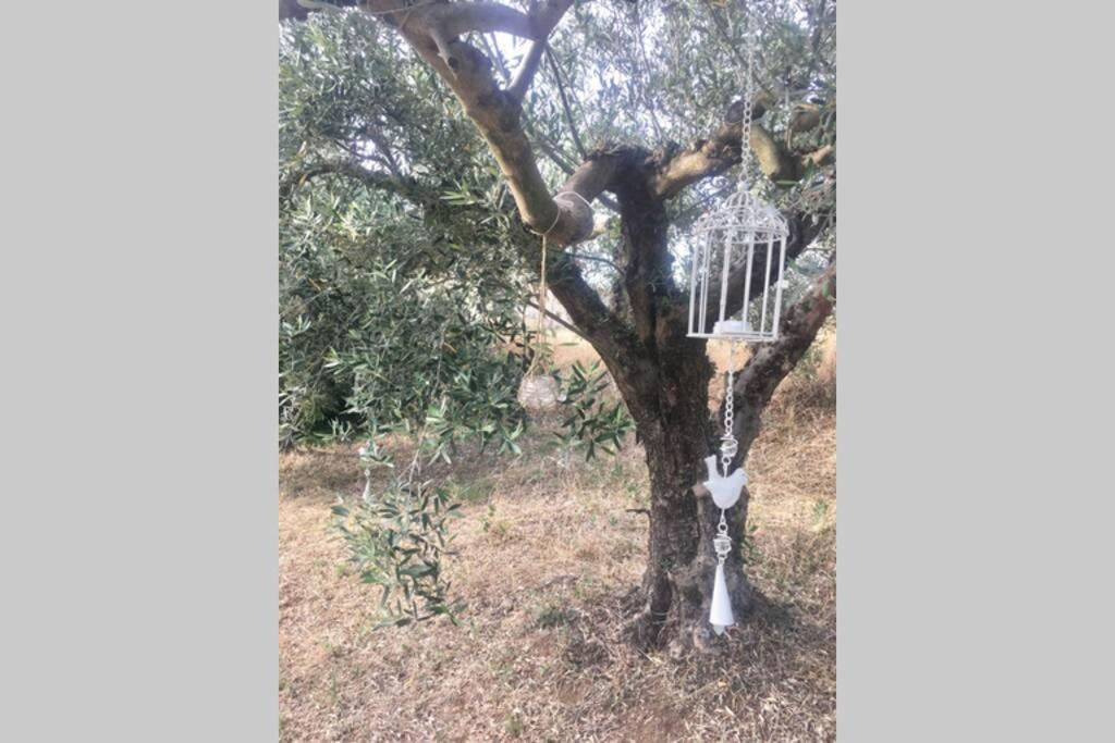 Eva Apartments Palioura エクステリア 写真